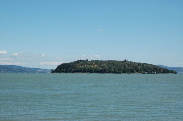 Cliquez pour voir l'image en taille réelle